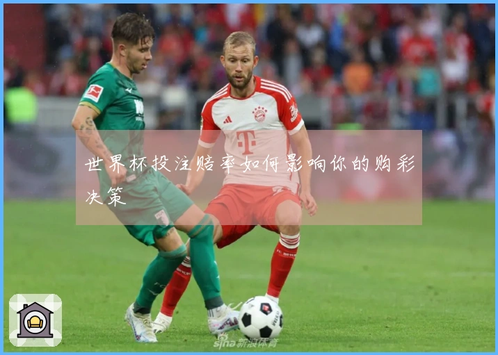世界杯投注赔率如何影响你的购彩决策