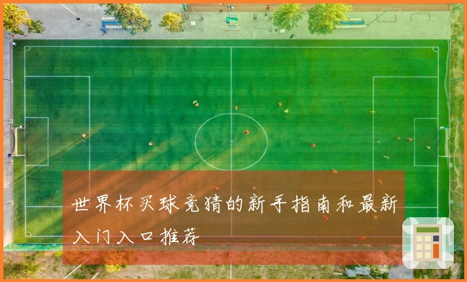 世界杯买球竞猜的新手指南和最新入门入口推荐