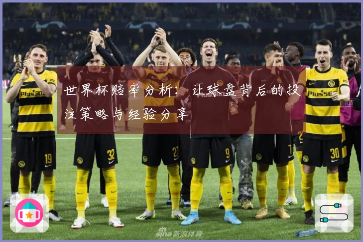 世界杯赔率分析：让球盘背后的投注策略与经验分享